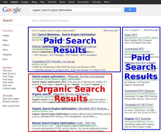 Organic Search Result là gì